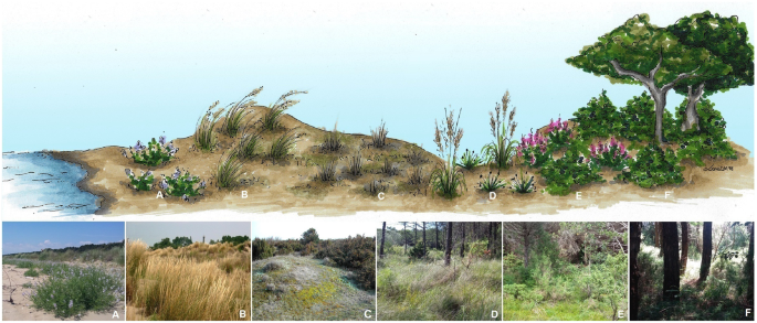Pollination Networks Along The Sea Inland Gradient Reveal - 