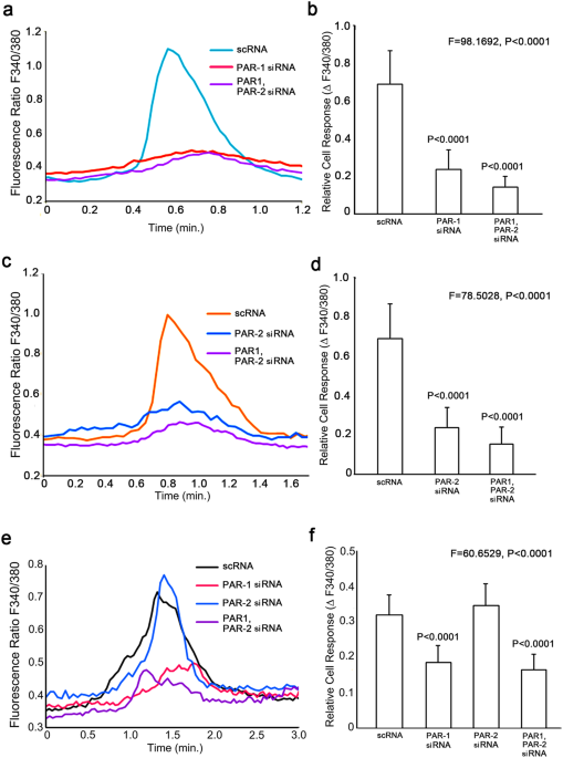 Tranexamic Acid Blocks The Thrombin Mediated Delay Of Epidermal Permeability Barrier Recovery Induced By The Cedar Pollen Allergen Cry J1 Scientific Reports