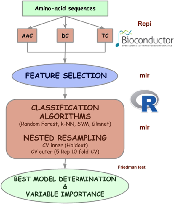 Prediction Of High Anti Angiogenic Activity Peptides In Silico Using A Generalized Linear Model And Feature Selection Scientific Reports Prediction Of High Anti Angiogenic Activity Peptides In Silico Using A Generalized Linear Model And Feature Selection Scientific Reports