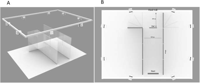 How body motion influences echolocation while walking