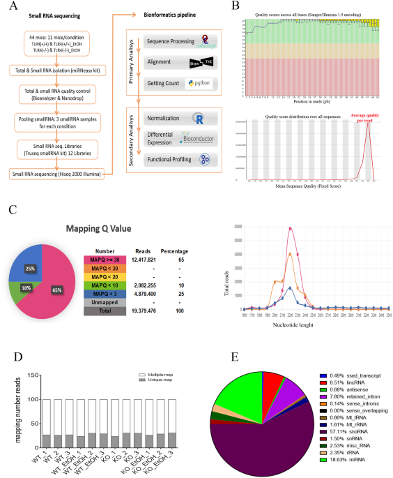 Deep Sequencing And Mirna Profiles In Alcohol Induced Neuroinflammation And The Tlr4 Response In Mice Cerebral Cortex Scientific Reports