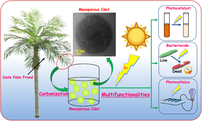 Turning Date Palm Fronds Into Biocompatible Mesoporous Fluorescent Carbon Dots Scientific Reports