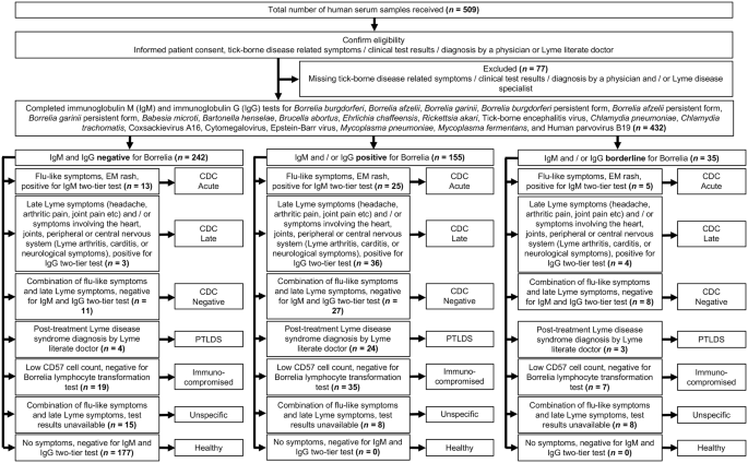 Lyme Disease And Coinfections Symptoms Chart