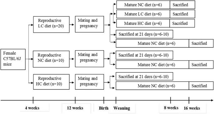 Figure 1 Figure 1