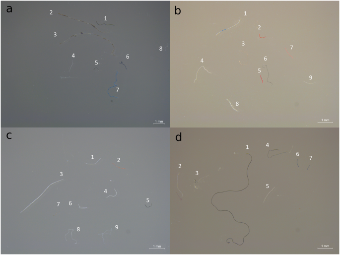 classification of marine microdebris