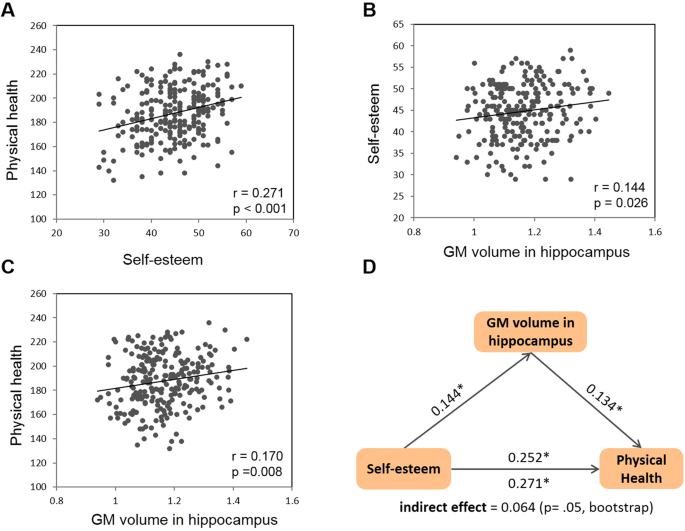 The hippocampus underlies the association between self-esteem and physical health
