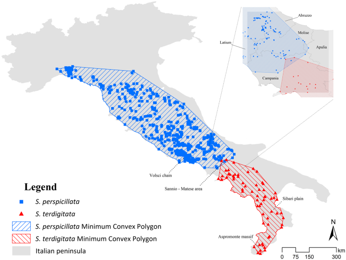 evidences for a shared history for spectacled salamanders haplotypes and climate scientific reports