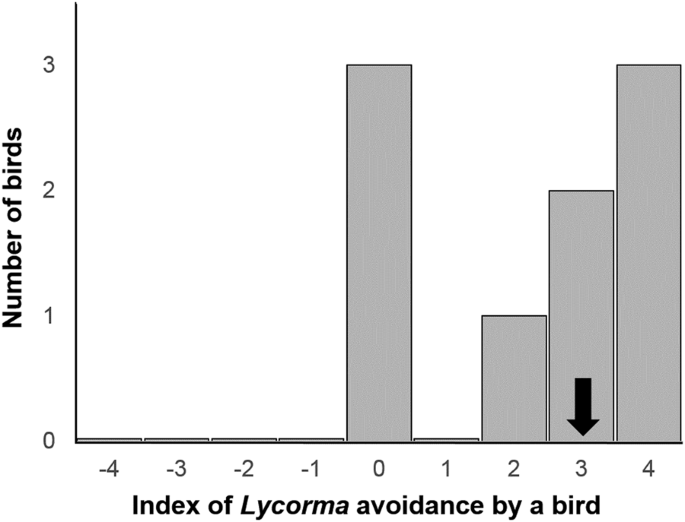 Defense Sequestration Associated With Narrowing Of Diet And Ontogenetic Change To Aposematic Colours In The Spotted Lanternfly Scientific Reports Defense Sequestration Associated With Narrowing Of Diet And Ontogenetic Change To Aposematic Colours In The Spotted Lanternfly Scientific Reports