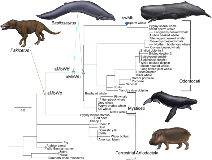 prehistoric whales on land