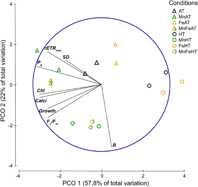 Evidence For Mitigation Of Coral Bleaching By Manganese Scientific Reports