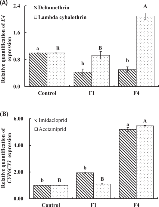 Evaluation of insecticides induced hormesis on the demographic parameters of myzus persicae and expression changes of metabolic resistance detoxificat