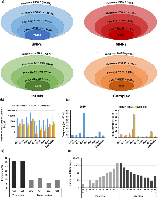 Genome Wide Discovery Of Dna Polymorphisms Among Chickpea Cultivars With Contrasting Seed Size Weight And Their Functional Relevance Scientific Reports