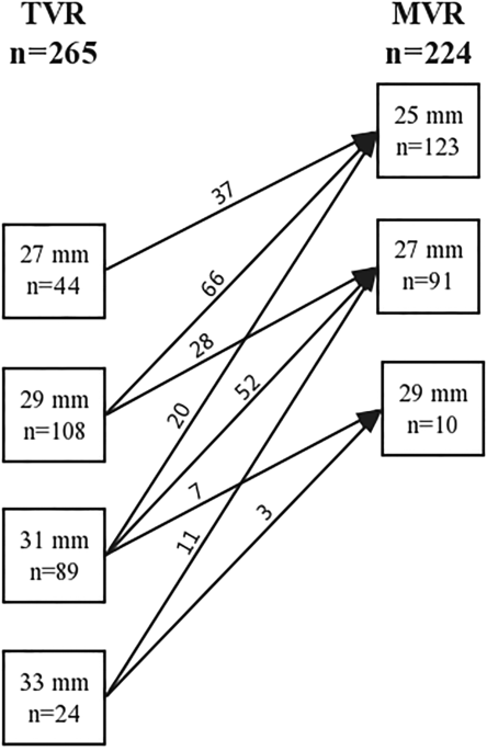 Ten-year experience of tricuspid valve replacement with the St. Jude ...