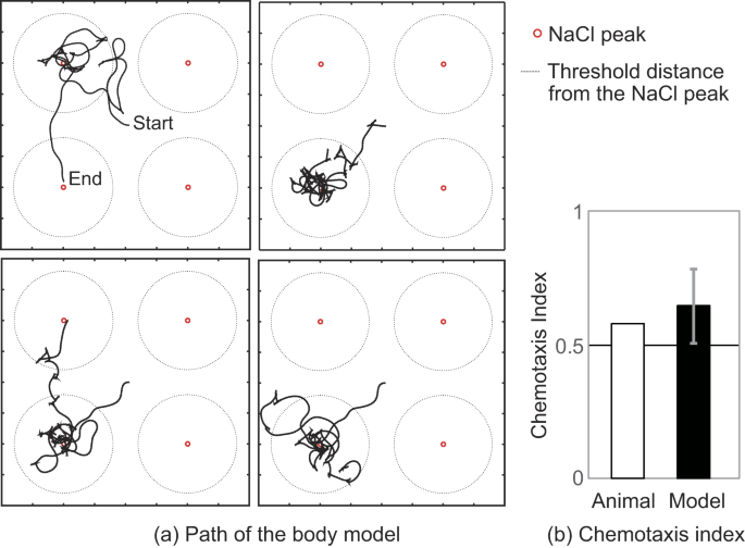 A computational model of internal representations of chemical 