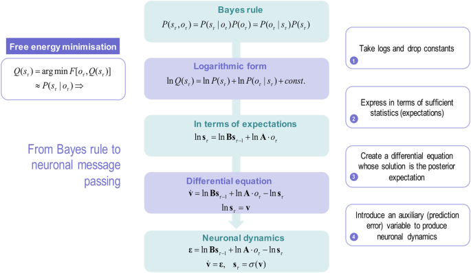 In Vitro Neural Networks Minimise Variational Free Energy - 