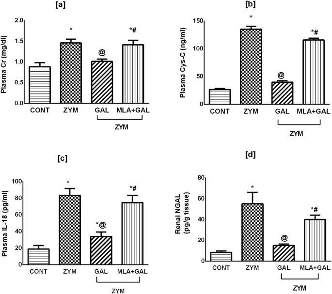 Activation Of Nicotinic Acetylcholine Receptor Ameliorates Zymosan Induced Acute Kidney Injury In Balb C Mice Scientific Reports