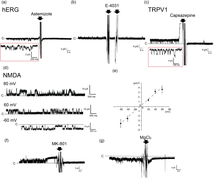 Electrophysiological measurement of ion channels on