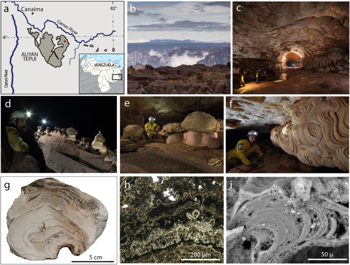 Microbial diversity and biosignatures of amorphous silica deposits in orthoquartzite caves