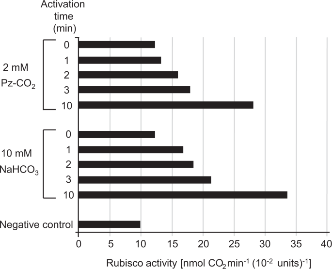 Atmospheric Co2 Captured By Biogenic Polyamines Is Transferred As A Possible Substrate To Rubisco For The Carboxylation Reaction Scientific Reports