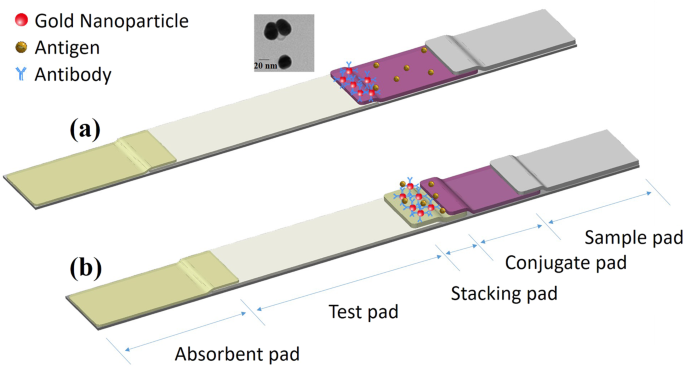 Development a stacking pad design for enhancing the sensitivity of lateral  flow immunoassay