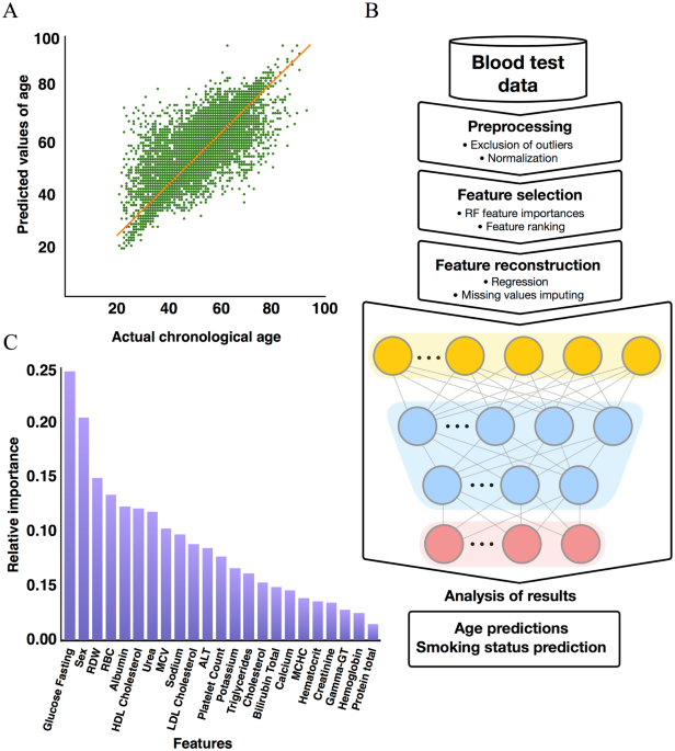 do tobacco show up in blood test Blood Biochemistry Analysis to Detect Smoking Status and Quantify  Accelerated Aging in Smokers