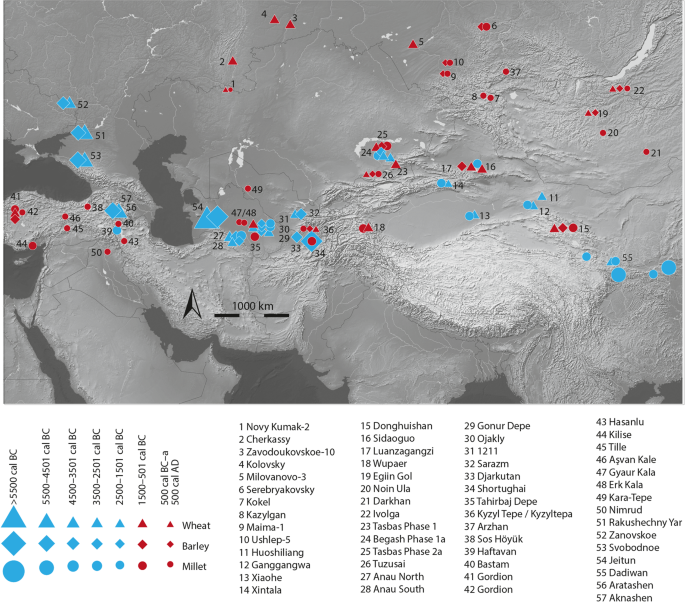 Intensification In Pastoralist Cereal Use Coincides With The Expansion Of Trans Regional Networks In The Eurasian Steppe Scientific Reports