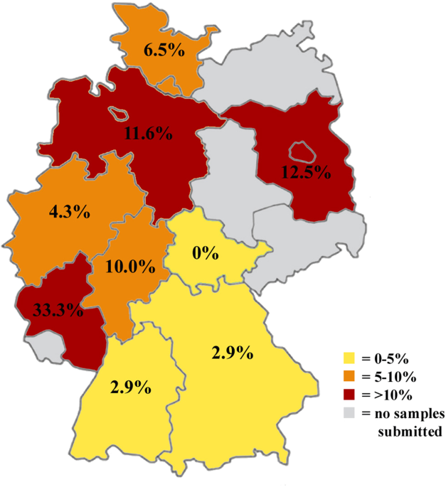 Prevalence of Sarcocystis calchasi in free-ranging host species: Accipiter  hawks and Common Woodpigeon in Germany | Scientific Reports