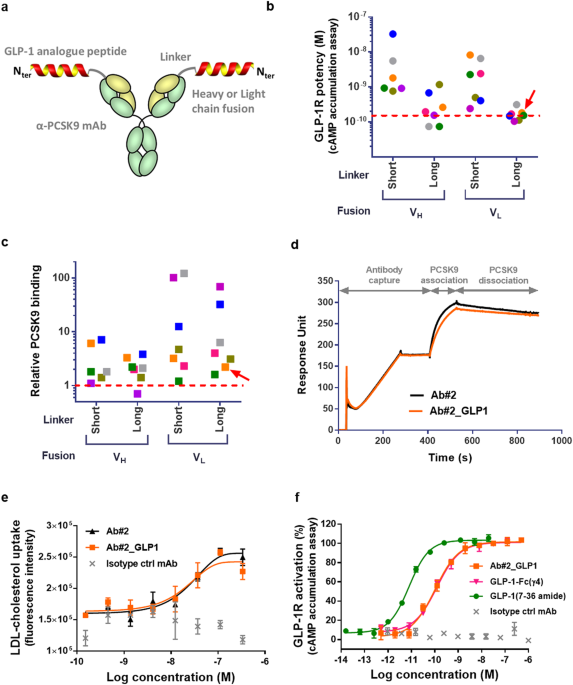 glp-1 cholesterol Engineering of a GLP-1 analogue peptide/anti-PCSK9 antibody fusion for type  2 diabetes treatment
