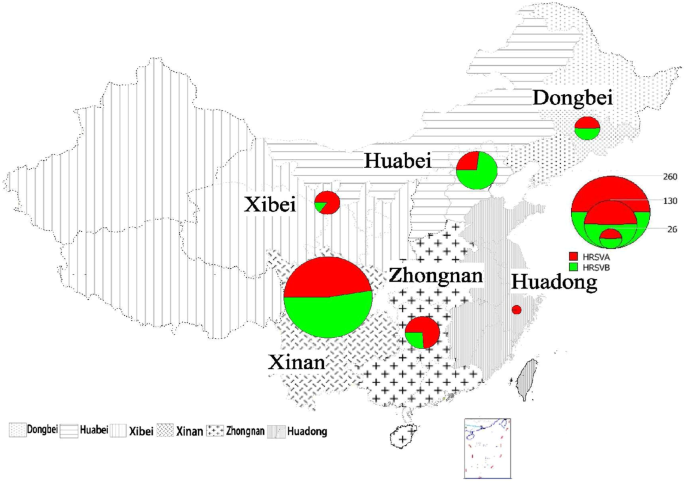 Sequence Analysis Of The Fusion Protein Gene Of Human Respiratory Syncytial Virus Circulating In China From 03 To 14 Scientific Reports