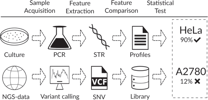 Robust in-silico identification of Cancer Cell Lines based on RNA and targeted DNA sequencing data