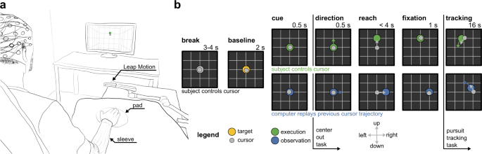 Tuning Characteristics Of Low Frequency Eeg To Positions And