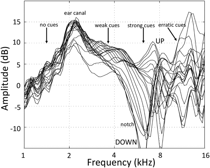 Learning To Localise Weakly Informative Sound Spectra With And Without Feedback Scientific Reports