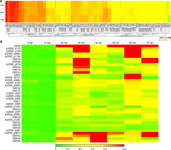 Rna Seq Of Hahv 1 Infected Abalones Reveals A Common Transcriptional 41598 2018 36433 Fig4 Html Png