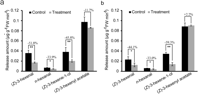 Molecular identification of spiders preying on Empoasca vitis in a tea plantation