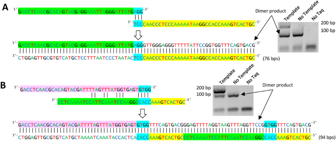 PrimerROC: accurate condition-independent dimer prediction using ROC  analysis | Scientific Reports