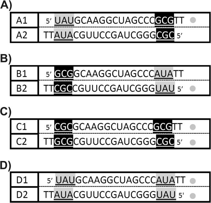 A Systematic Study On The Influence Of Thermodynamic Asymmetry Of 5 Ends Of Sirna Duplexes In Relation To Their Silencing Potency Scientific Reports