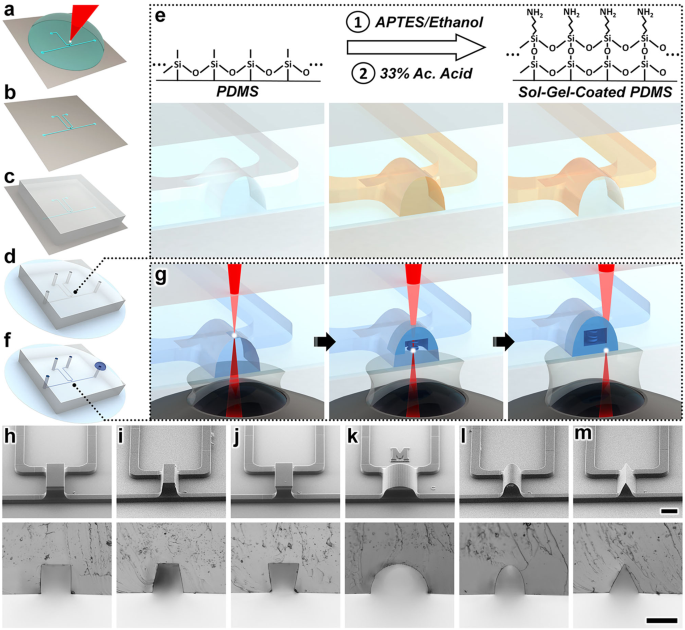 Geometric Determinants of In-Situ Direct Laser Writing | Scientific Reports