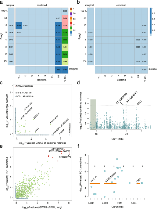 Characterizing both bacteria and fungi improves understanding of the ...
