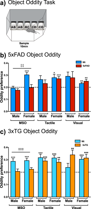 Mice recognize 3D objects from recalled 2D pictures, support for  picture-object equivalence