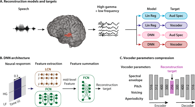 PDF) Prolegomena to a Neurocomputational Architecture for Human Grammatical  Encoding and Decoding