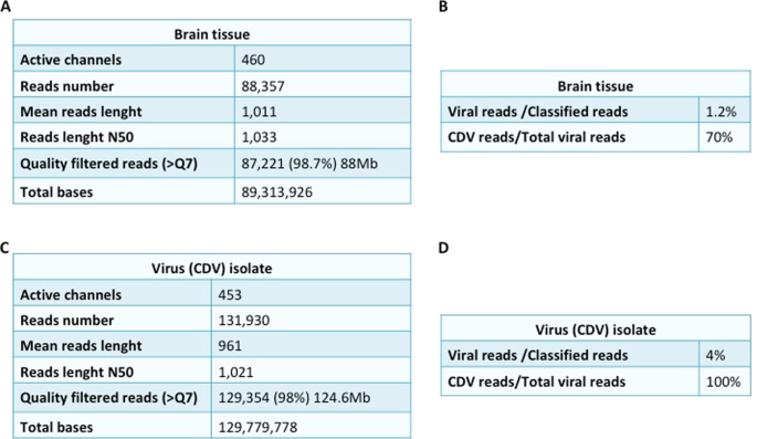 Diagnosis And Characterization Of Canine Distemper Virus Through Sequencing By Minion Nanopore Technology Scientific Reports