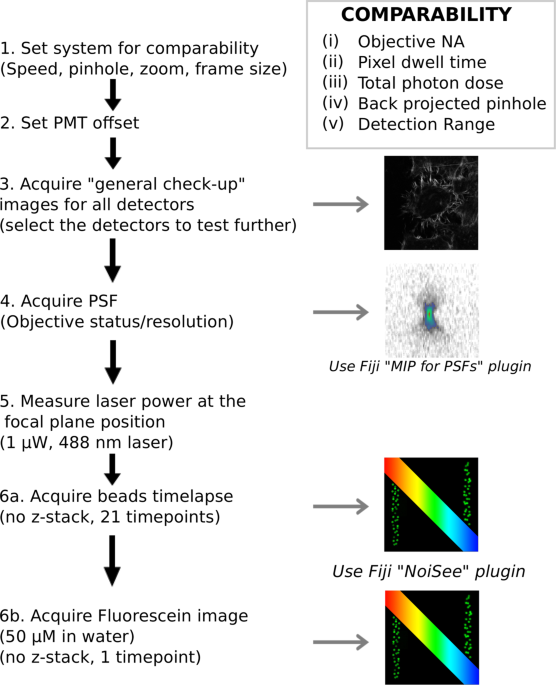 Using the NoiSee workflow to measure signal-to-noise ratios of confocal  microscopes | Scientific Reports