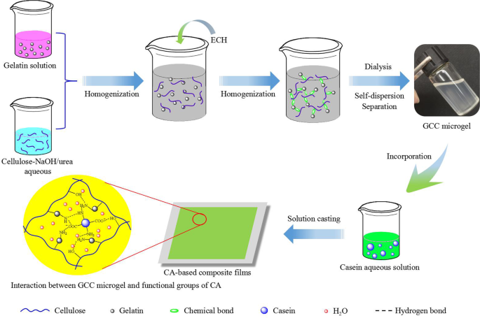 Preparation and characterization of homogeneous and enhanced casein  protein-based composite films via incorporating cellulose microgel |  Scientific Reports