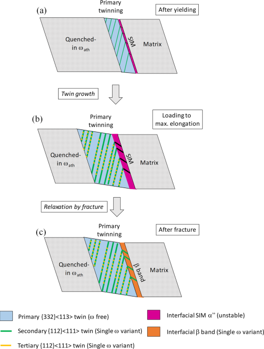 41598_2018_37865_Fig6_HTML.png
