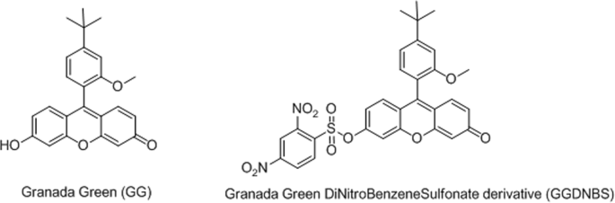 glutathione analysis method Rapid and effective protocol to measure glutathione peroxidase activity |  Bulletin of the National Research Centre