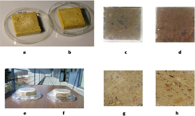 Bio Cleaning Of Nitrate Salt Efflorescence On Stone Samples Using Figure 6