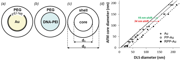 Physical Chemical Measurement Method Development For Self Assembled Core Shell Nanoparticles Scientific Reports