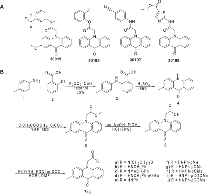 Probing The Inhibition Of Microtubule Affinity Regulating Kinase 4 By N Substituted Acridones Scientific Reports