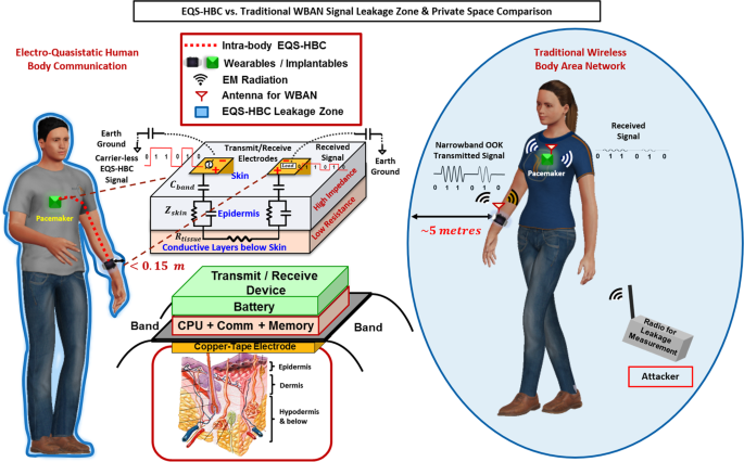 Enabling Covert Body Area Network using Electro-Quasistatic Human Body  Communication | Scientific Reports
