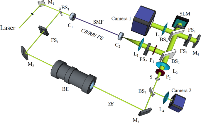 Implementation Of Digital Optical Phase Conjugation With Embedded Calibration And Phase Rectification Scientific Reports